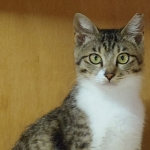 エニちゃん (2)2.JPG